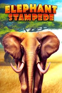 Elephant Stampede