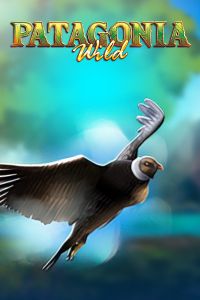 Patagonia Wilds